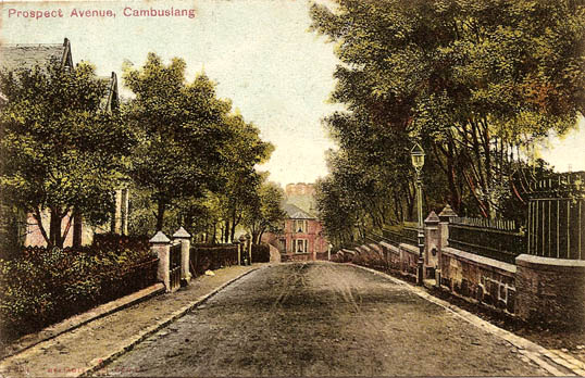 Prospect Avenue looking towards No 44 Wellshot Drive- Circa 1900 - curved wall on right  is entrance to Broomhill No 6, opposite is No 7 & futher down No 5 - Card dated 1906 - Relaiable Series - Published for Peddie & Co., Cambuslang